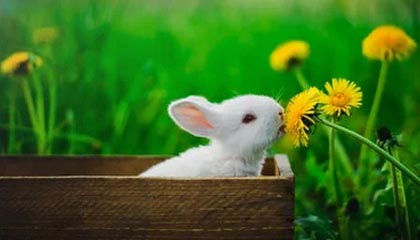 米兰体育下载-大连一方将面对武汉卓尔，双方对决不容错失胜利机会！，大连卓尔教育