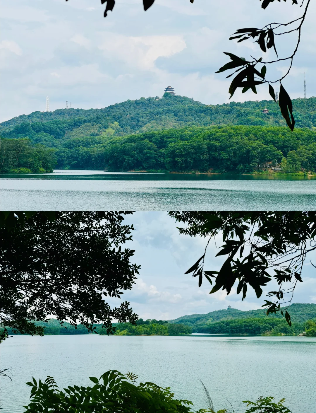 特色环湖骑行节,畅享春季自然风光的简单介绍 特色环湖骑行节,畅享春季自然风光的简单介绍