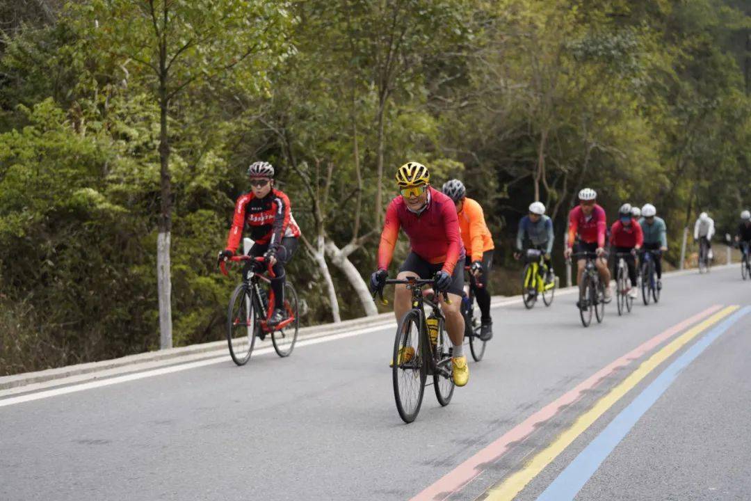 特色环湖骑行节,畅享春季自然风光的简单介绍 特色环湖骑行节,畅享春季自然风光的简单介绍