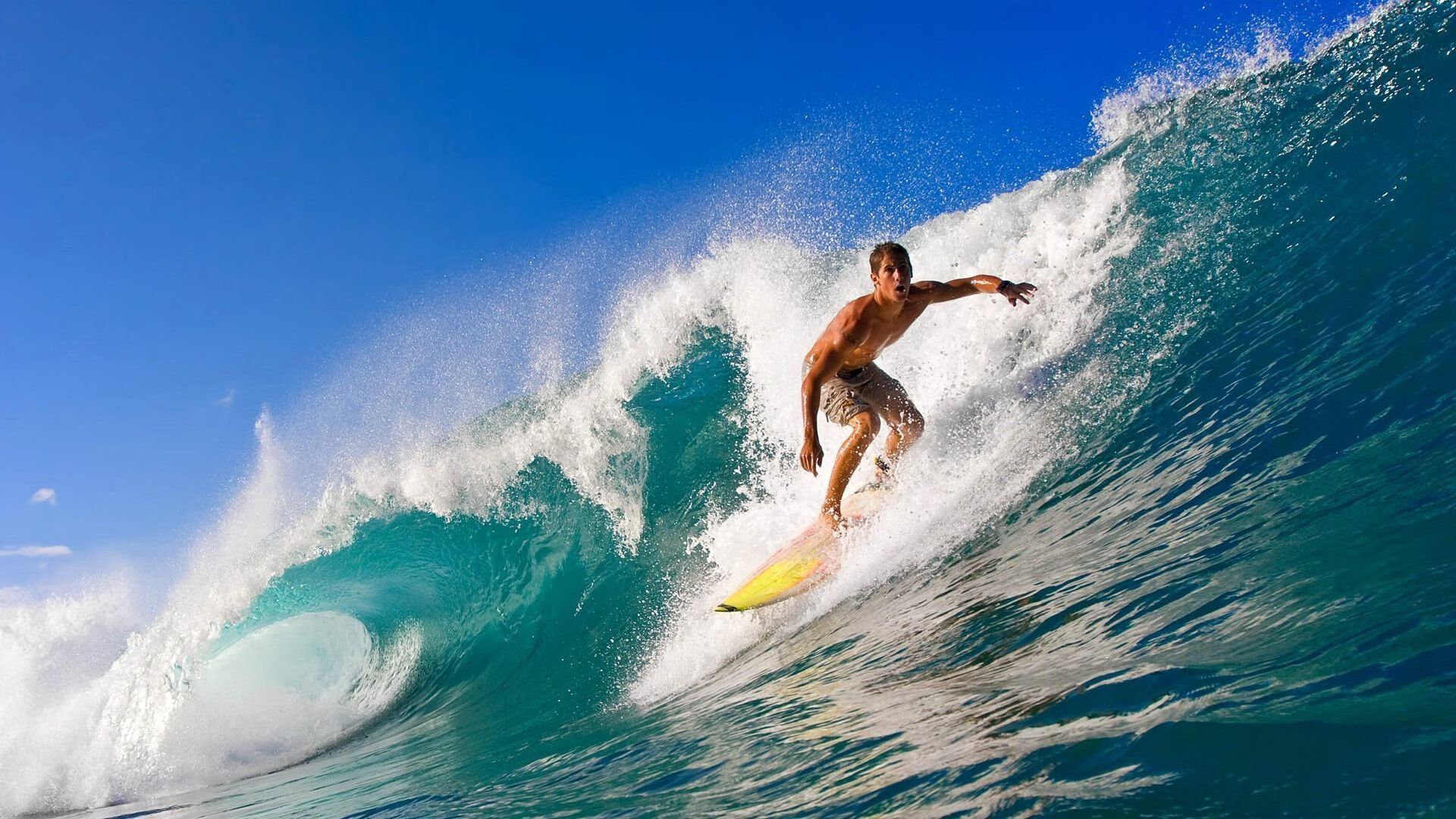 电竞职业选手压力调适,电竞选手操作数值