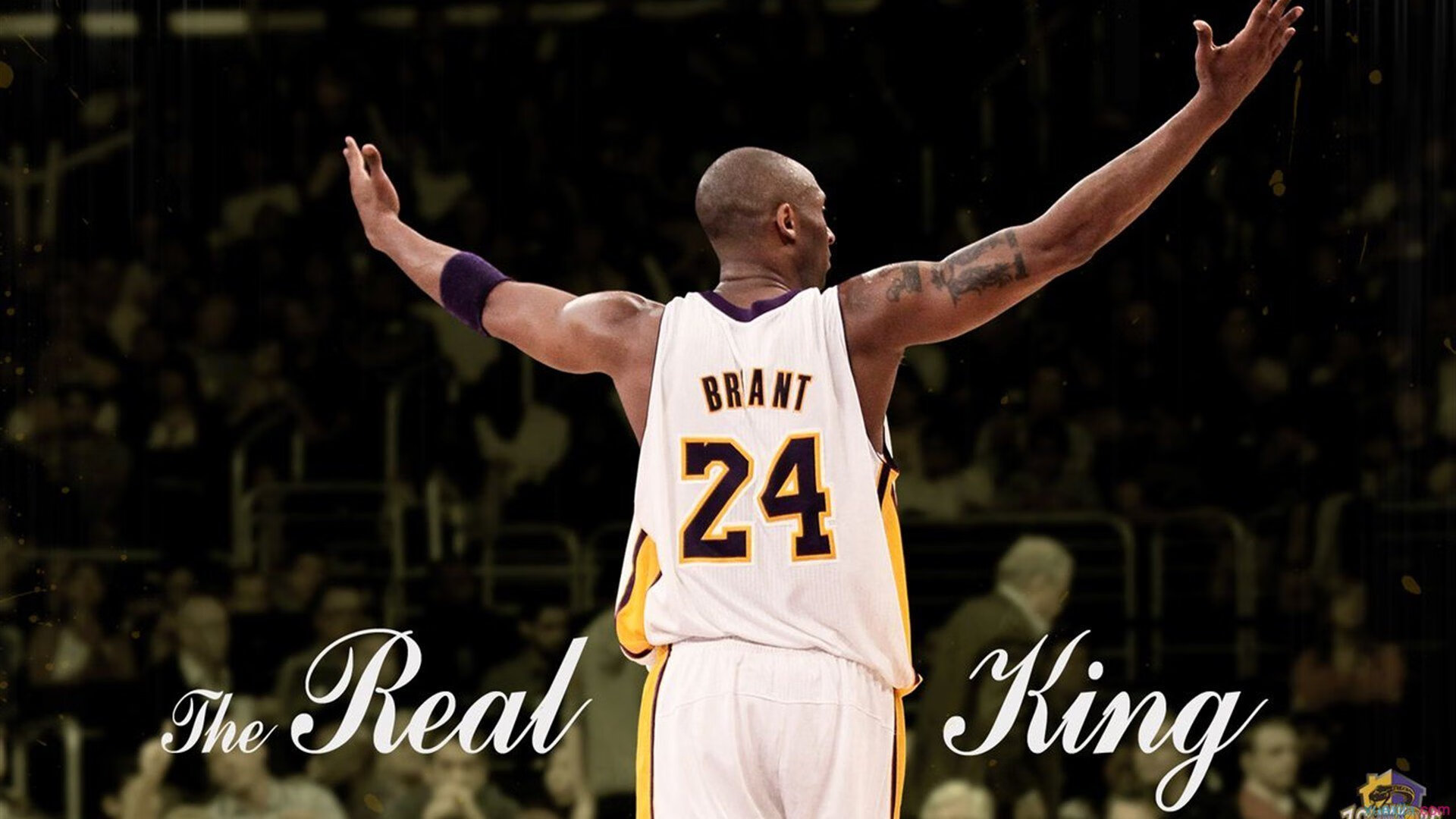 米兰体育在线-车身空气动力设计的最新突破，汽车空气动力学套件图解